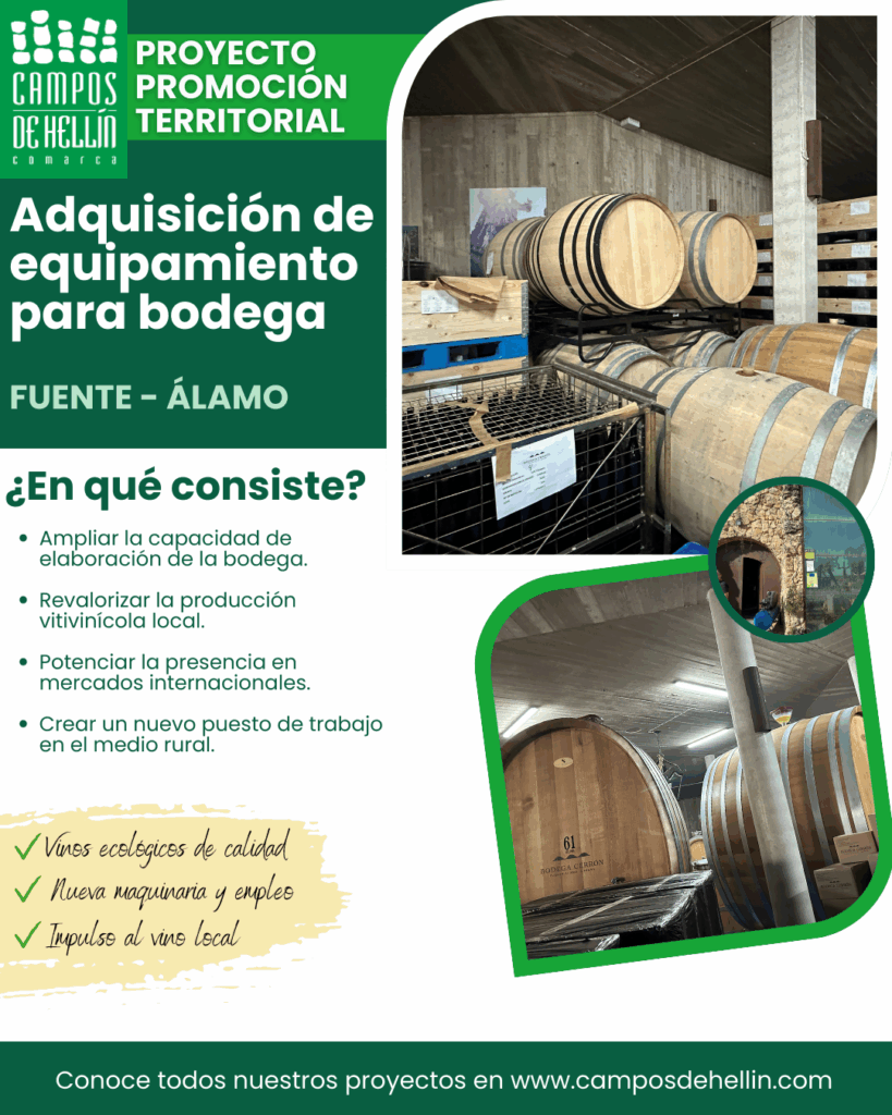 Proyecto LEADER – Equipamiento para la bodega Stratum Wines – Fuente-Álamo