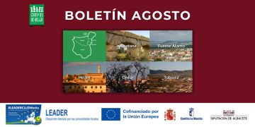 Boletín Agosto 2026