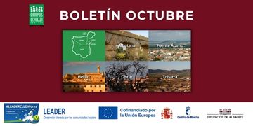 Boletín Octubre 2026